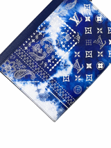 Louis Vuitton Bandana Monogram Leather Pochette Voyage 6