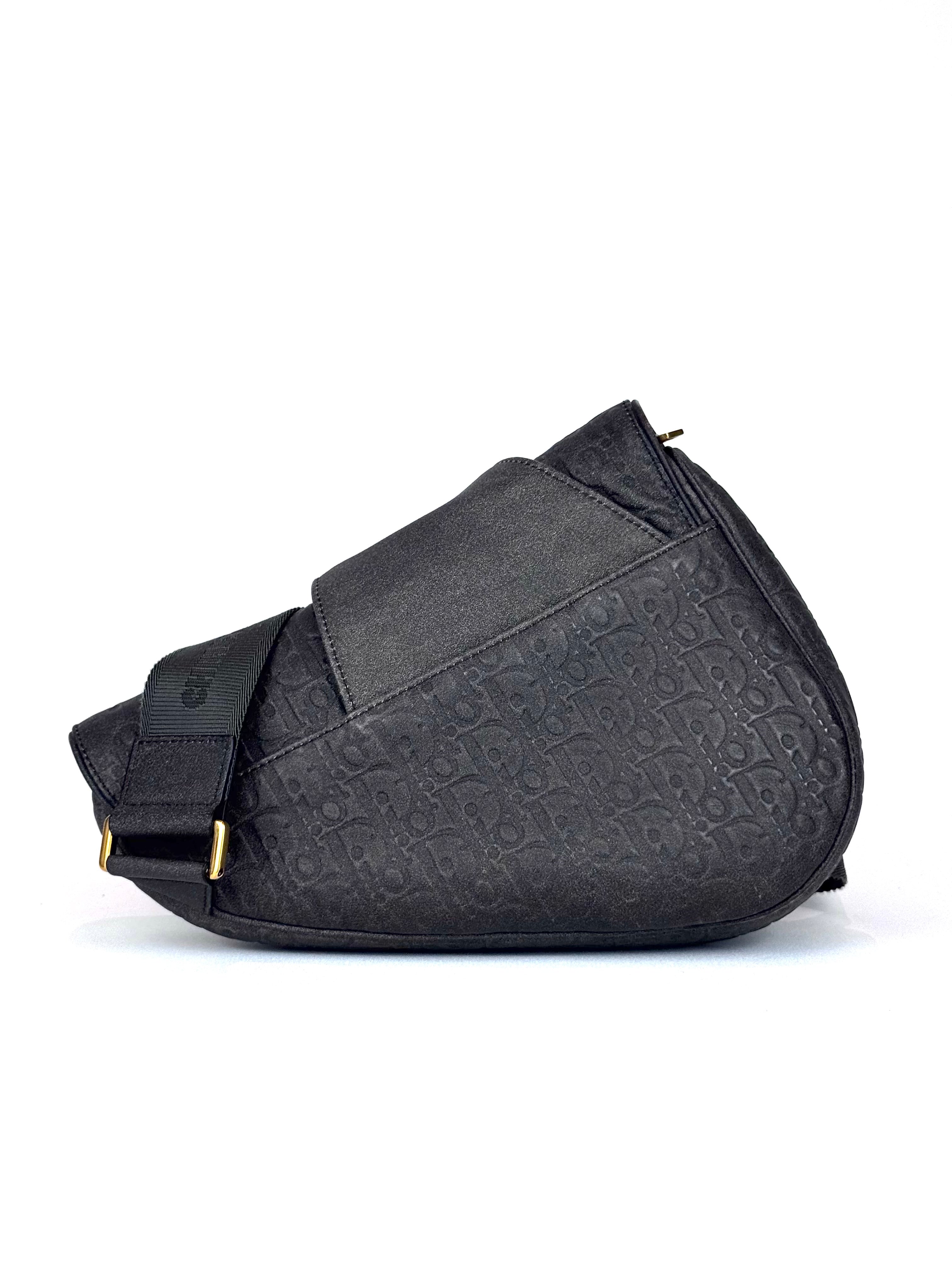 Christian Dior Wolf Soft Oblique Saddle Slingbag