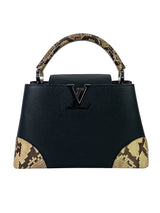 Louis Vuitton Capucines PM Python Skin Bag 1