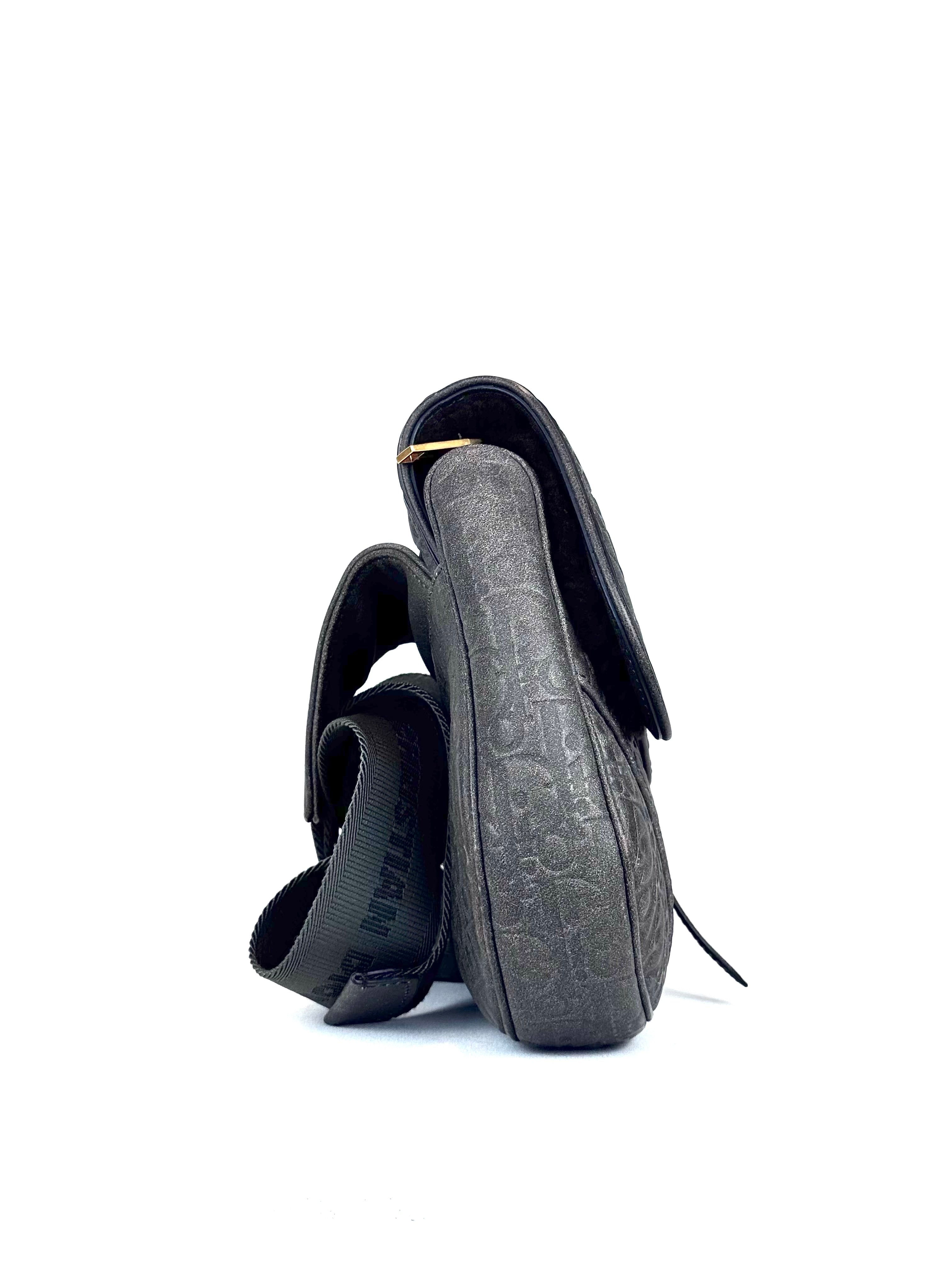 Christian Dior Wolf Soft Oblique Saddle Slingbag